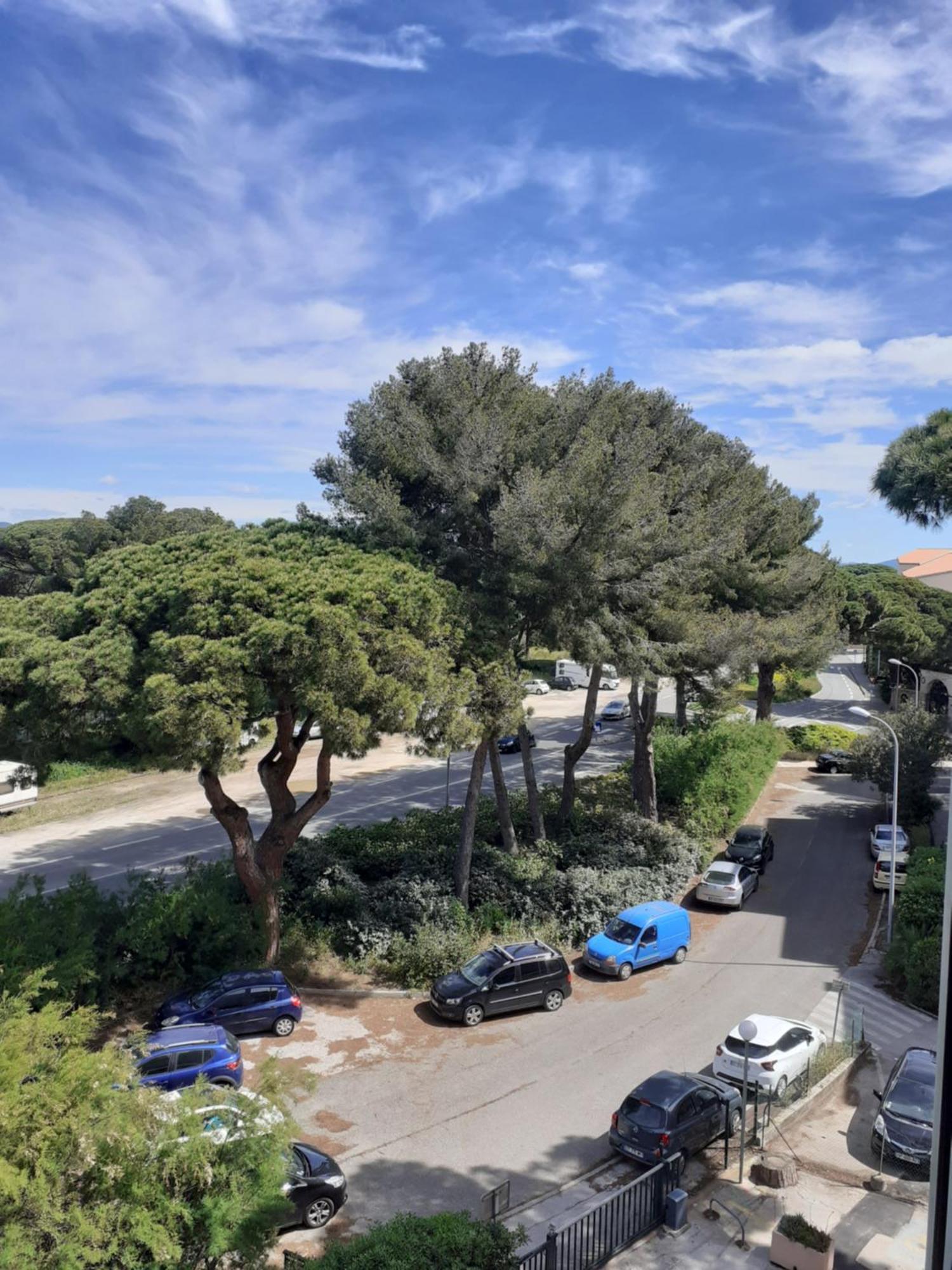 Studio Hyeres Port Et Iles D'Or. Eksteriør billede
